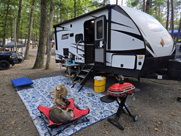 coleman 1805rb camper