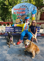 Dogs love Knoebels