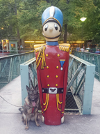 German Shephard in Knoebels