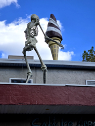 knoebels skeleton