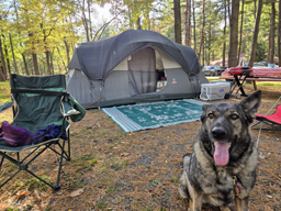 knoebels tenting