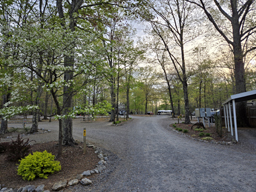 Lynchburg VA KOA Campground