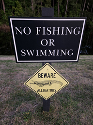 Hilton Head National RV Alligator Warning