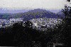 lookout_1.jpg