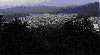 lookout_2.jpg