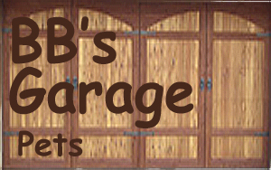 BBsGarage