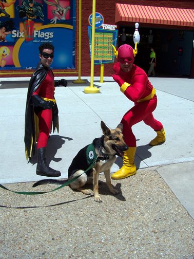 german shepherd Oprah at six flags visiting the flash and robin