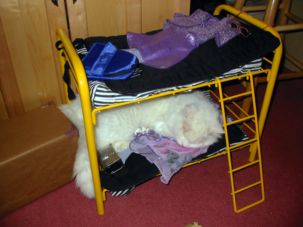white cat Kritter sleeping in a doll bed