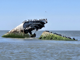 Concrete Ship