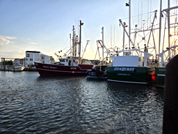 Lobster House