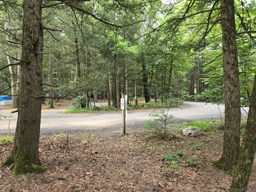 rip van winkle campground road