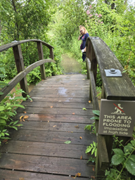trail to lighthouse