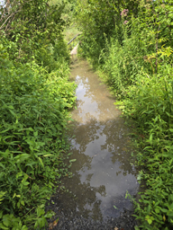 flooded trail to lighthouse