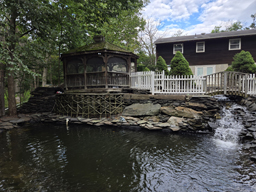 duck pond and office rip van winkle