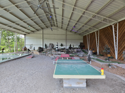mini golf and ping pong